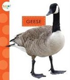 Mari C. Schuh - Geese