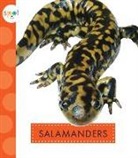 Mari C. Schuh - Salamanders