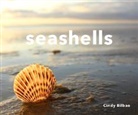 Cindy Bilbao, Bilbao Cindy - Seashells