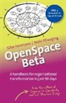 Silke Hermann, Niels Pflaeging - OpenSpace Beta