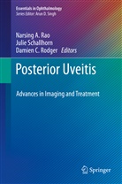 Damien C Rodger, Narsing A. Rao, Damien C. Rodger, Juli Schallhorn, Julie Schallhorn - Posterior Uveitis