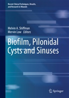 Melvi A Shiffman, Melvin A Shiffman, Low, Low, Mervin Low, Melvin A. Shiffman - Biofilm, Pilonidal Cysts and Sinuses