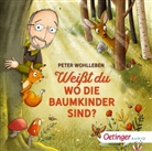 Stefanie Reich, Peter Wohlleben, Ursula Illert - Weißt du, wo die Baumkinder sind?, 1 Audio-CD (Audio book)