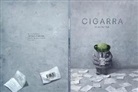 Shaun Tan - Cigarra