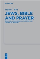 Stefan C Reif, Stefan C. Reif - Jews, Bible and Prayer