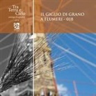 R. Barbieri, C. Caputo, D. Cipriano - Il giglio di grano a Flumeri. 018