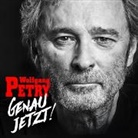 Wolfgang Petry - Genau jetzt!, 1 Audio-CD (Hörbuch)