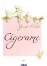 Yasar Polat - Cigerame