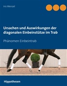 Iris Wenzel - Ursachen und Auswirkungen der diagonalen Einbeinstütze im Trab