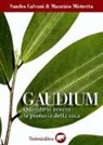 Sandro Calvani, Maurizio Mistretta - Gaudium. Quando si avvera la profezia della coca