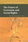Amartya Sen, Katharine Young, Katharine G. (Boston College Young, Katharine G. Young, Katharine G. (Boston College Young, Young Katharine G. - The Future of Economic and Social Rights