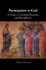 Andrew Davison, Andrew (University of Cambridge) Davison, Davison Andrew - Participation in God