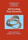 Emmanuel Dormy, Emmanuel (Ecole Normale Superieure Dormy, Keith Moffatt, Keith (University of Cambridge) Moffatt, Keith (University of Cambridge) Dormy Moffatt, MOFFATT KEITH - Self-Exciting Fluid Dynamos