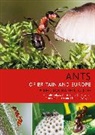 R. Blatrix, Rumsais Blatrix, Rumsaïs Blatrix, Christophe Galkowski, Claude Lebas, Claude Galkowski Lebas... - Ants of Britain and Europe