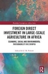 Atkeyelsh Persson, Atkeyelsh G. M. Persson - Foreign Direct Investment in Large-Scale Agriculture in Africa