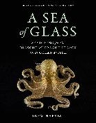 Drew Harvell, Harvell Drew - Sea of Glass
