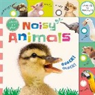 DK - Noisy Animals