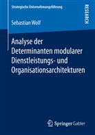 Sebastian Wolf - Analyse der Determinanten modularer Dienstleistungs- und Organisationsarchitekturen