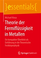 Michael Kinza - Theorie der Fermiflüssigkeit in Metallen