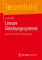 Guido Walz - Lineare Gleichungssysteme