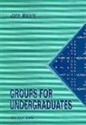 John Atwell Moody, John Moody, John Atwell Moody - Groups For Undergraduates