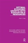 Prem C Garg, Prem C. Garg - Optimal Economic Growth With Exhaustible Resources