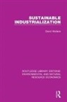 David Wallace - Sustainable Industrialization