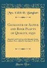 Mrs. Edith H. Banghart - Catalogue of Alpine and Rock Plants of Quality, 1930