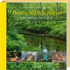 Tobias Böckermann, Willi Rolfes, Willi Rolfes - Deutschlands Natur