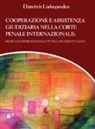 Dimitris Liakopoulos - Cooperazione e assistenza giudiziaria nella Corte penale internazionale. Profili giurisprudenziali e tutela dei diritti umani