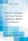 Franklin Root Rathbun - Bright Feathers, or Some North American Birds of Beauty (Classic Reprint)