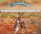 Heather Moore Niver - How Kangaroos Grow Up