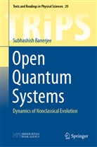 Subhashish Banerjee - Open Quantum Systems