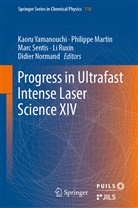 Philipp Martin, Philippe Martin, Didier Normand, Li Ruxin, Marc Sentis, Marc Sentis et al... - Progress in Ultrafast Intense Laser Science XIV
