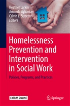 Amand Aykanian, Amanda Aykanian, Amanda Lee Aykanian, Calvin L Streeter, Heather Larkin, Calvin L. Streeter - Homelessness Prevention and Intervention in Social Work