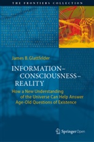 James B Glattfelder, James B. Glattfelder, Jame B Glattfelder, James B Glattfelder, James B. Glattfelder - Information-Consciousness-Reality