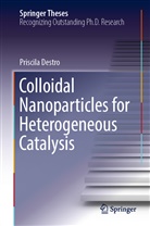 Priscila Destro - Colloidal Nanoparticles for Heterogeneous Catalysis