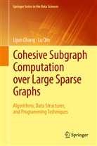 Liju Chang, Lijun Chang, Lu Qin - Cohesive Subgraph Computation over Large Sparse Graphs