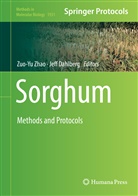 Dahlberg, Dahlberg, Jeff Dahlberg, Zuo-Y Zhao, Zuo-Yu Zhao - Sorghum