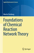 Martin Feinberg - Foundations of Chemical Reaction Network Theory