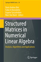 Marc Van Barel, Dario Andrea Bini, Fabi Di Benedetto, Fabio Di Benedetto, Eugene Tyrtyshnikov, Eugene Tyrtyshnikov et al... - Structured Matrices in Numerical Linear Algebra