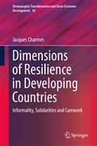 Jacques Charmes - Dimensions of Resilience in Developing Countries
