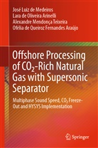 Ofelia de Queiroz Fernandes Araujo, Ofélia de Queiroz Fernandes Araújo, José Lui de Medeiros, José Luiz de Medeiros, Lar de Oliveira Arinelli, Lara de Oliveira Arinelli... - Offshore Processing of CO2-Rich Natural Gas with Supersonic Separator