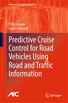 Péte Gáspár, Péter Gáspár, Balázs Németh - Predictive Cruise Control for Road Vehicles Using Road and Traffic Information