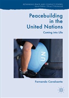 Fernando Cavalcante - Peacebuilding in the United Nations