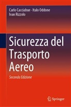 Carl Cacciabue, Carlo Cacciabue, Ital Oddone, Italo Oddone, Ivan Rizzolo - Sicurezza del Trasporto Aereo