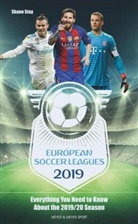 Shane Stay - European Soccer Leagues 2019