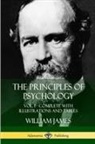 William James - The Principles of Psychology