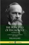 William James - The Principles of Psychology (Volume 1 of 2)