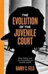 Barry C Feld, Barry C. Feld - The Evolution of the Juvenile Court